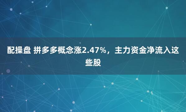配操盘 拼多多概念涨2.47%，主力资金净流入这些股