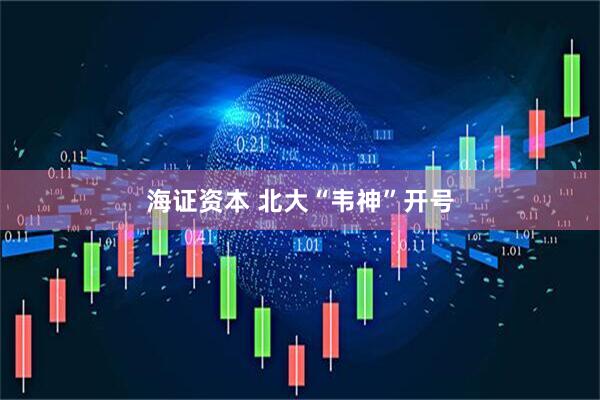 海证资本 北大“韦神”开号