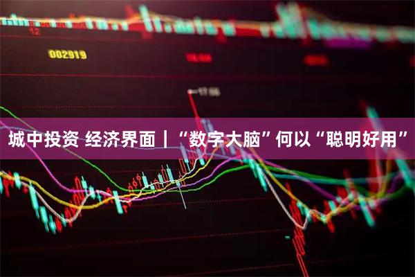 城中投资 经济界面｜“数字大脑”何以“聪明好用”