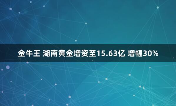 金牛王 湖南黄金增资至15.63亿 增幅30%