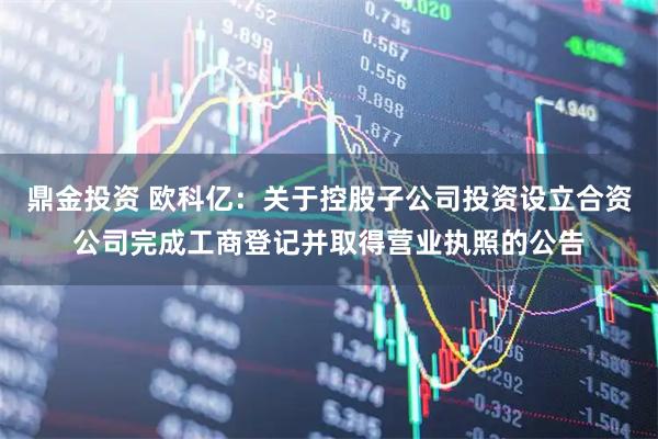 鼎金投资 欧科亿：关于控股子公司投资设立合资公司完成工商登记并取得营业执照的公告